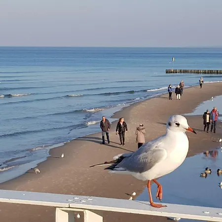 Lux Blizej Morza * كولوبرزيغ