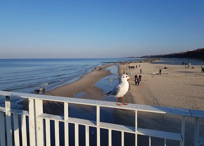 Lux Blizej Morza * Kolobřeh