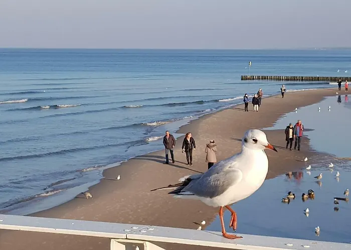 Lux Blizej Morza * Kolobřeh